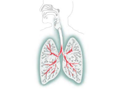 <span style="color: rgb(31, 31, 31);">Фтизиатры</span>